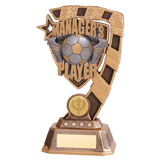 Euphoria Football Managers Player Award 180mm