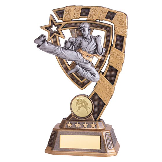 Euphoria Karate Award 180mm