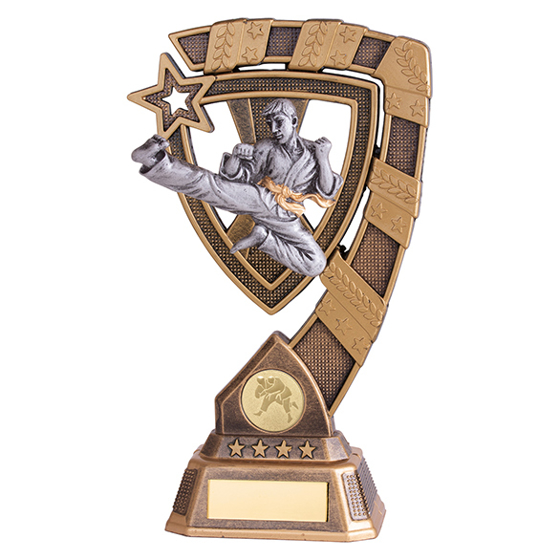 Euphoria Karate Award 210mm