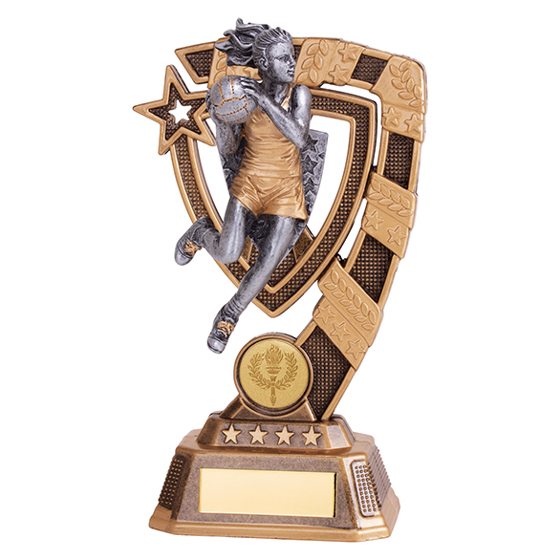 Euphoria Netball Award 180mm