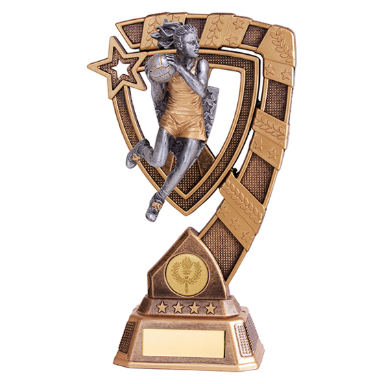 Euphoria Netball Award 210mm