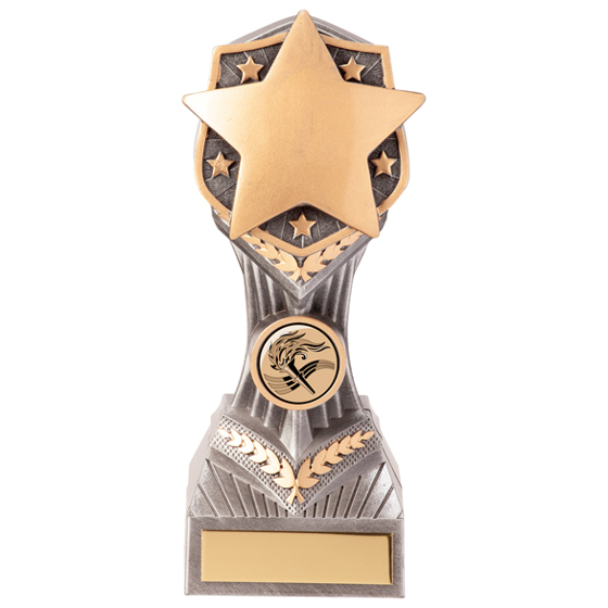 Falcon Achievement Star Award 190mm