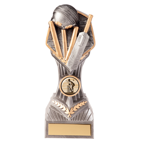 Falcon Cricket Award 190mm