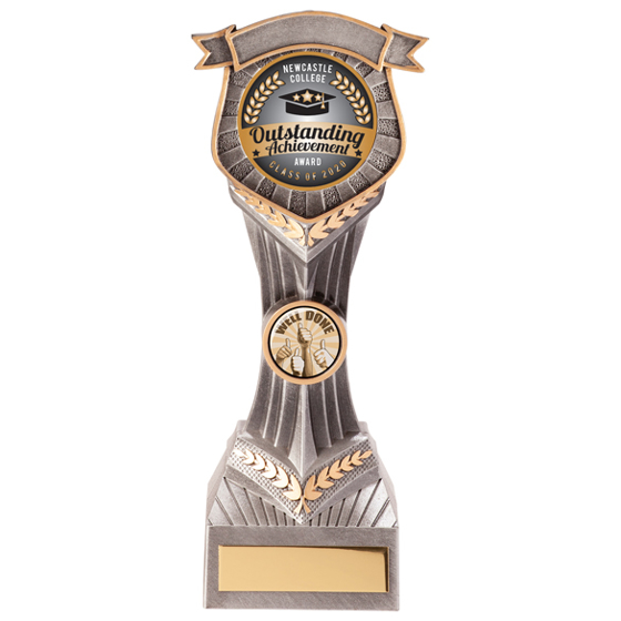 Falcon Multisport Award 220mm