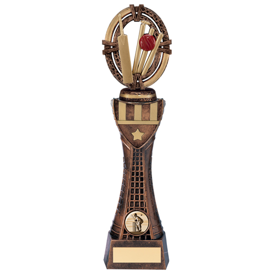 Maverick Cricket Heavyweight Award 290mm