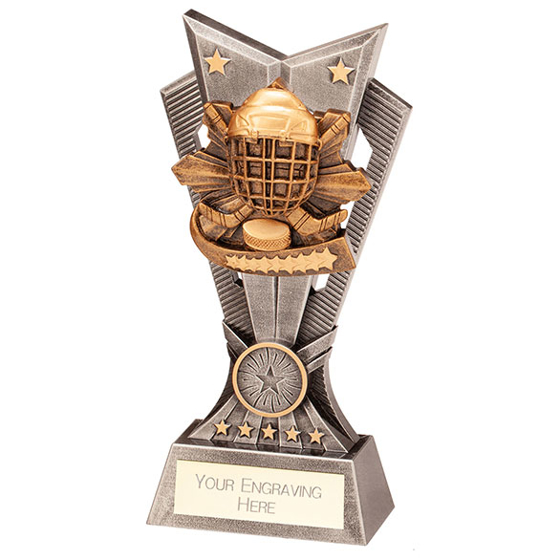 Spectre Ice Hockey Award 200mm