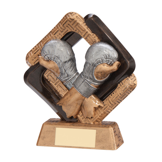 Sporting Unity MMA Fighter Award 165mm