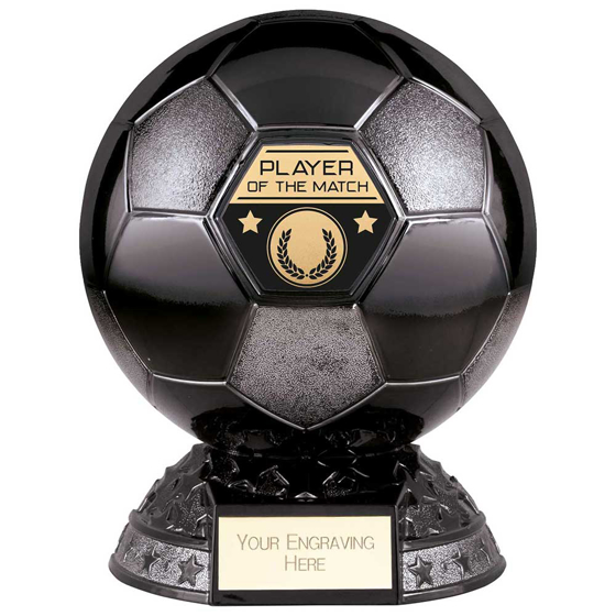 Picture of Elite Heavyweight Player of Match Award Black 200mm