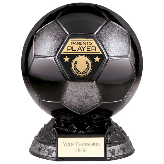 Picture of Elite Heavyweight Parents Player Award Black 185mm