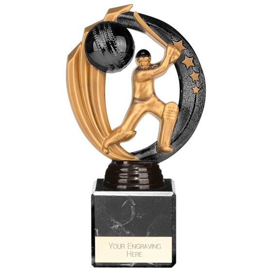 Picture of Renegade Legend Cricket Award Black 175mm