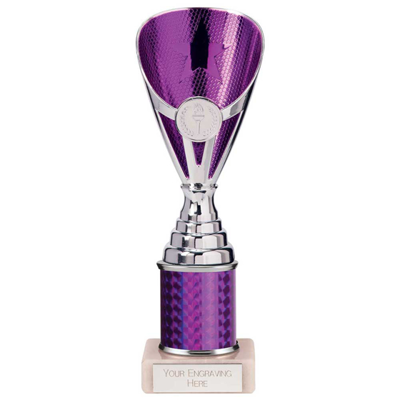 Picture of Rising Stars Plastic Trophy Purple 230mm