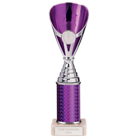 Picture of Rising Stars Plastic Trophy Purple 255mm