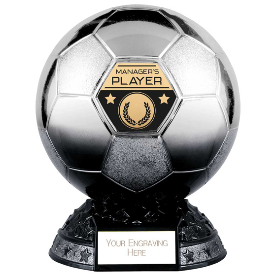 Picture of Elite Heavyweight Managers Player Award Platinum to Black 200mm