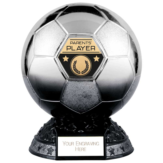 Picture of Elite Heavyweight Parents Player Award Platinum to Black 200mm