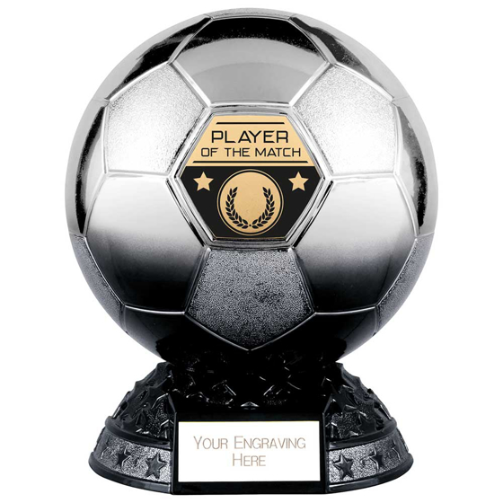 Picture of Elite Heavyweight Player Of Match Award Platinum to Black 200mm