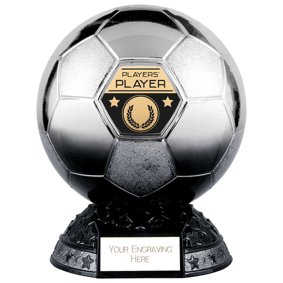 Picture of Elite Heavyweight Players Player Award Platinum to Black 200mm