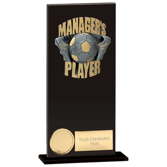 Picture of Euphoria Hero Managers Player Award Jet Black 180mm