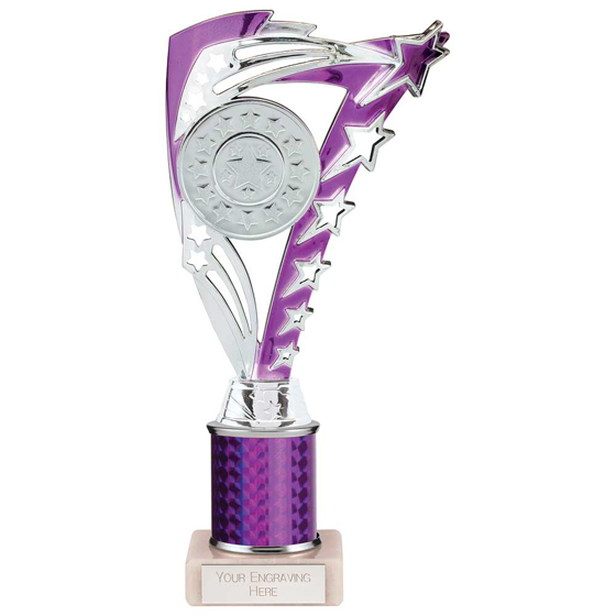 Picture of Frenzy Multisport Tube Trophy Silver & Purple 240mm