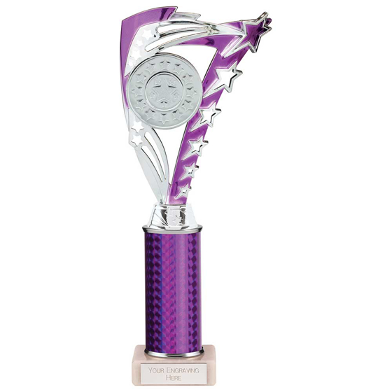 Picture of Frenzy Multisport Tube Trophy Silver & Purple 290mm