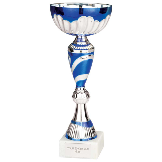 Picture of Omega Cup Silver & Blue 250mm