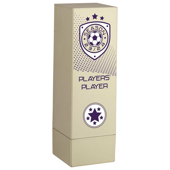 Picture of Prodigy Tower Players Player Award Gold 160mm