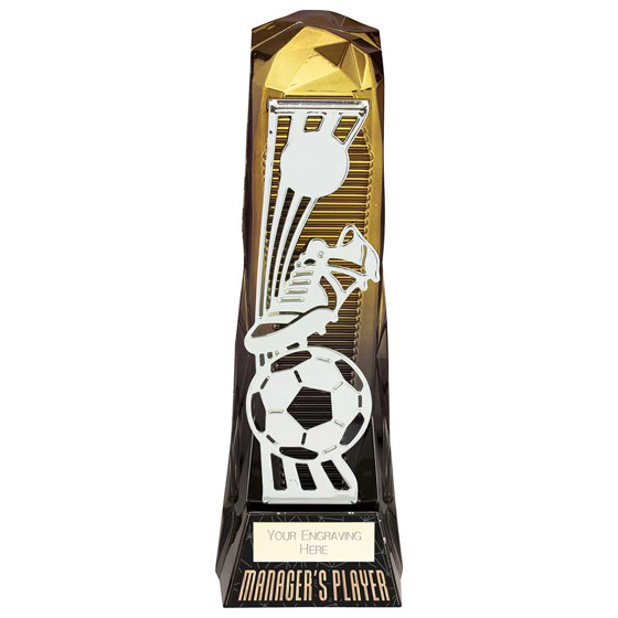 Picture of Shard Football Managers Player Award Gold to Black 230mm