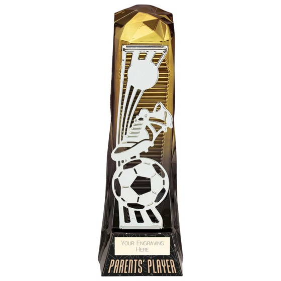 Picture of Shard Football Parents Player Award Gold to Black 230mm