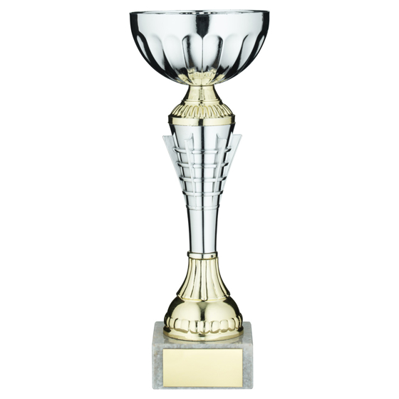 Picture of Silv/gold  Spiro Trophy Cup With Plate - 10.75in