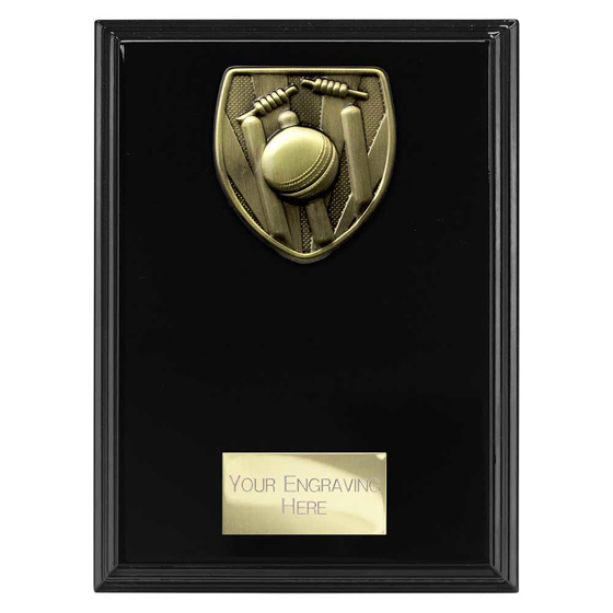 Picture of Cobra Plaque Cricket Award Epic Black 175mm