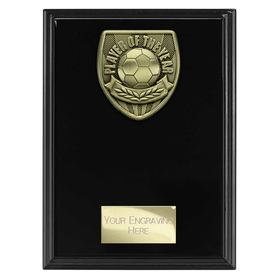 Picture of Cobra Plaque Player of Year Award Epic Black 175mm