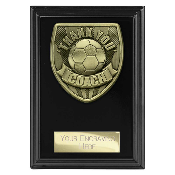 Picture of Cobra Plaque Thank you Coach Award Epic Black 125mm