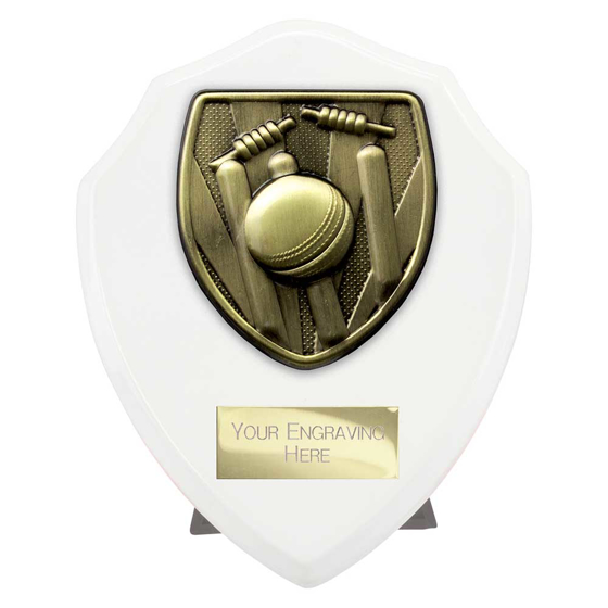 Picture of Cobra Shield Cricket Award Arctic White 125mm