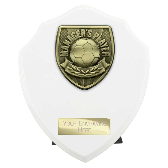 Picture of Cobra Shield Managers Player Award Arctic White 150mm