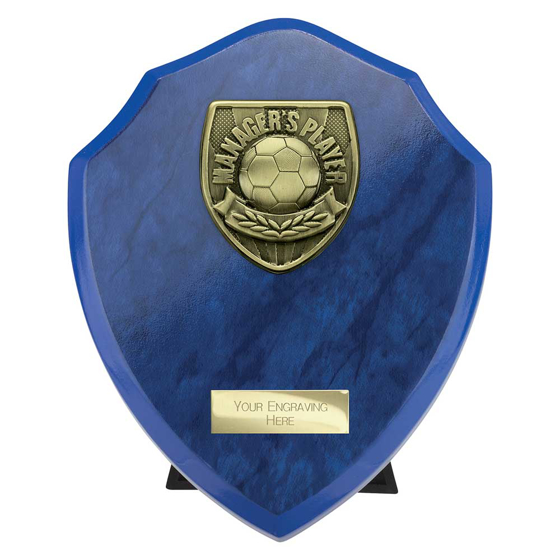 Picture of Cobra Shield Managers Player Award Azure Blue 175mm