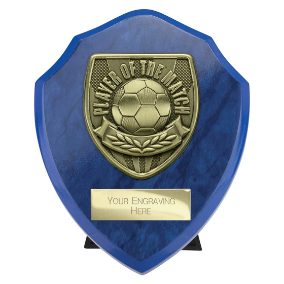 Picture of Cobra Shield Player of Match Award Azure Blue 125mm