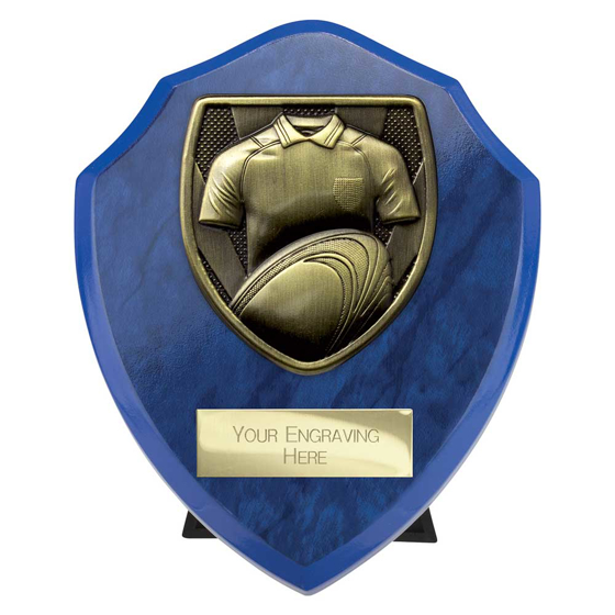 Picture of Cobra Shield Rugby Shirt & Ball Award Azure Blue 125mm