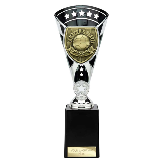 Picture of Cobra Star Cup Managers Player Silver & Black 255mm