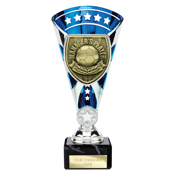 Picture of Cobra Star Cup Managers Player Silver & Blue 210mm