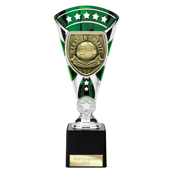 Picture of Cobra Star Cup Managers Player Silver & Green 230mm