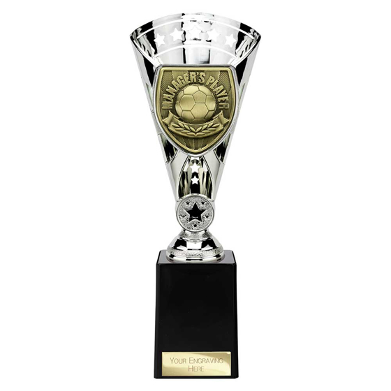 Picture of Cobra Star Cup Managers Player Silver 255mm