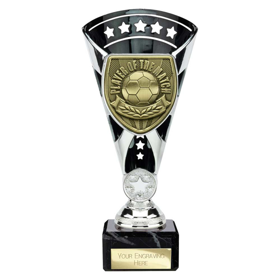 Picture of Cobra Star Cup Player of Match Silver & Black 210mm