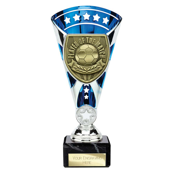 Picture of Cobra Star Cup Player of Match Silver & Blue 210mm