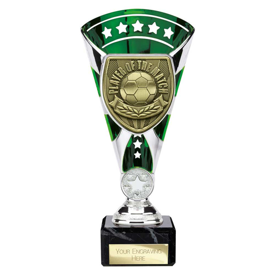 Picture of Cobra Star Cup Player of Match Silver & Green 210mm