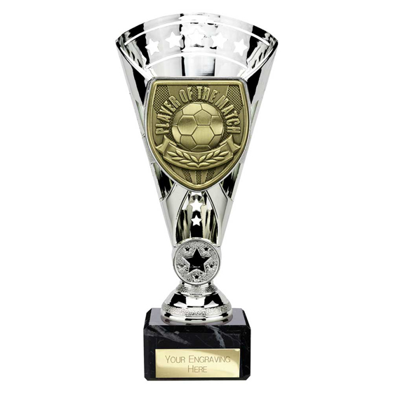 Picture of Cobra Star Cup Player of Match Silver 210mm