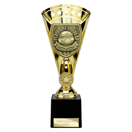 Picture of Cobra Star Cup Player of Year Gold 230mm