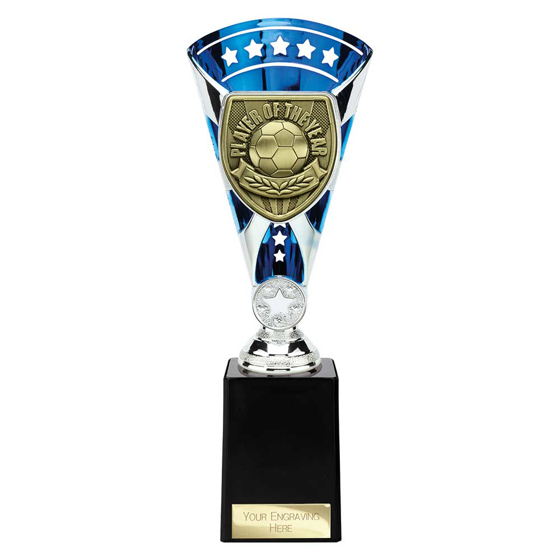 Picture of Cobra Star Cup Player of Year Silver & Blue 255mm