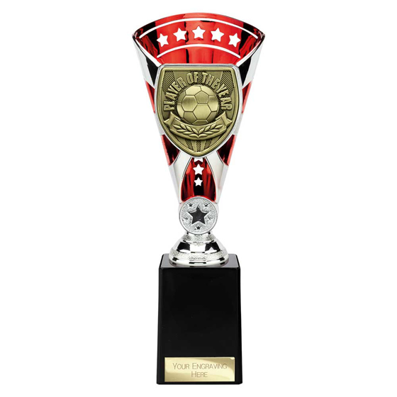 Picture of Cobra Star Cup Player of Year Silver & Red 255mm