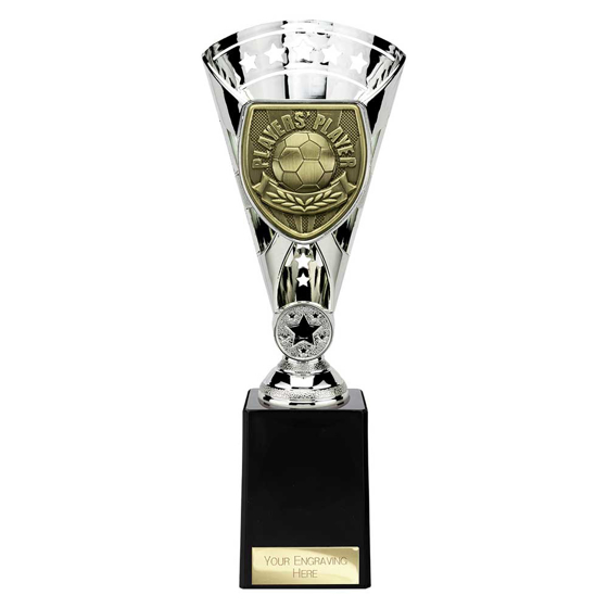 Picture of Cobra Star Cup Players Player Silver 255mm