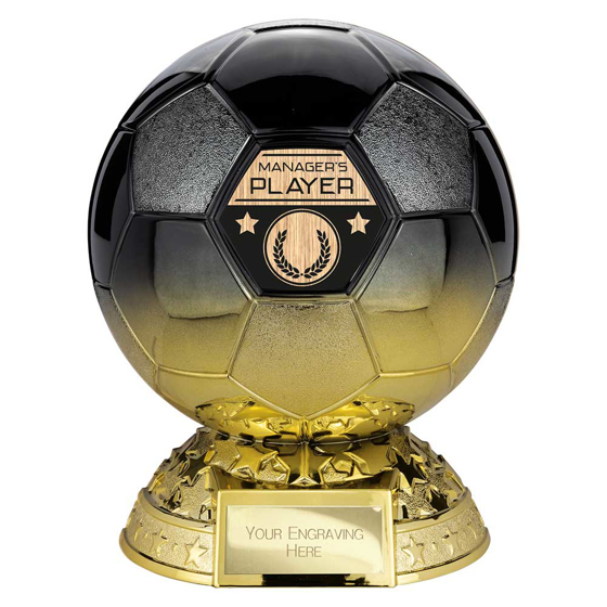 Picture of Elite Heavyweight Managers Player Award Carbon Black to Gold 205mm