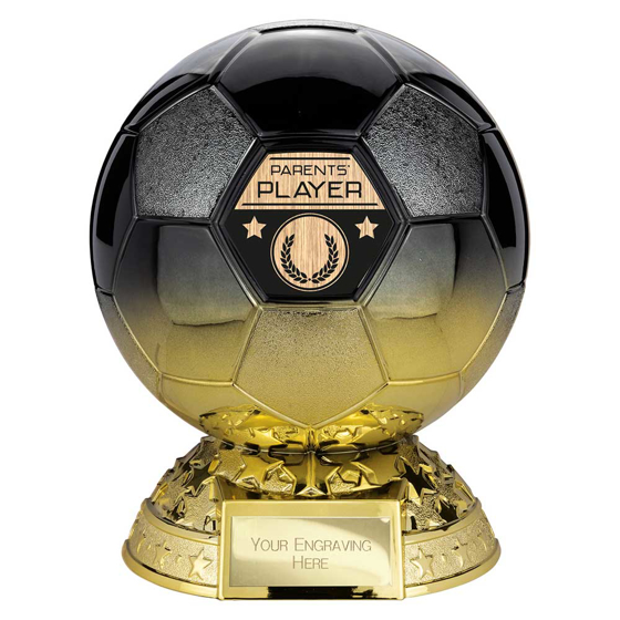 Picture of Elite Heavyweight Parents Player Award Carbon Black to Gold 205mm